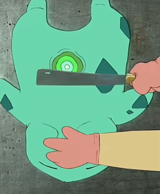cook_bulbasaur